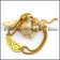 Gold-plating Stainless Steel Wing Bracelet b005268