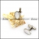 Stainless Steel Shell Cufflink for Gentlemen c000158