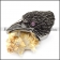 Big Eagle Ring with Clear Pink Stone Eyes r004569