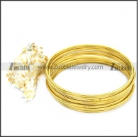 Stainless Steel Bangles b008738