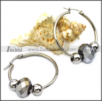 Stainless Steel Earring e001643