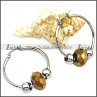 Stainless Steel Earring e001646