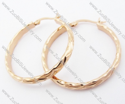 JE050933 Stainless Steel earring