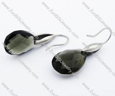 Stainless Steel earring - JE320012