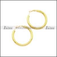 Stainless Steel Earring e002136G3