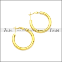 Stainless Steel Earring e002136G4