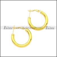 Stainless Steel Earring e002136G5