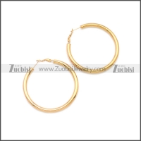 Stainless Steel Earring e002136R2