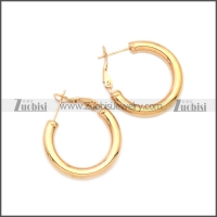 Stainless Steel Earring e002136R5