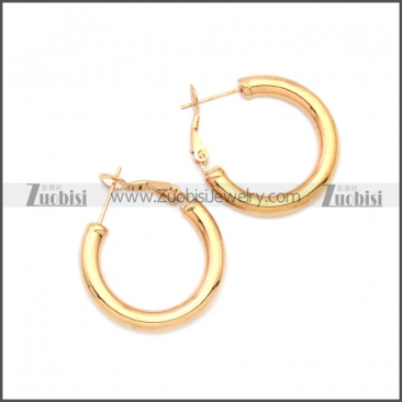 Stainless Steel Earring e002136R5