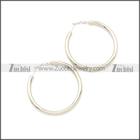 Stainless Steel Earring e002136S2