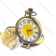 special cover Roman numeral pocket watch pw000415-2