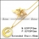 18K Gold Plating Initial F Charm Necklace n001695